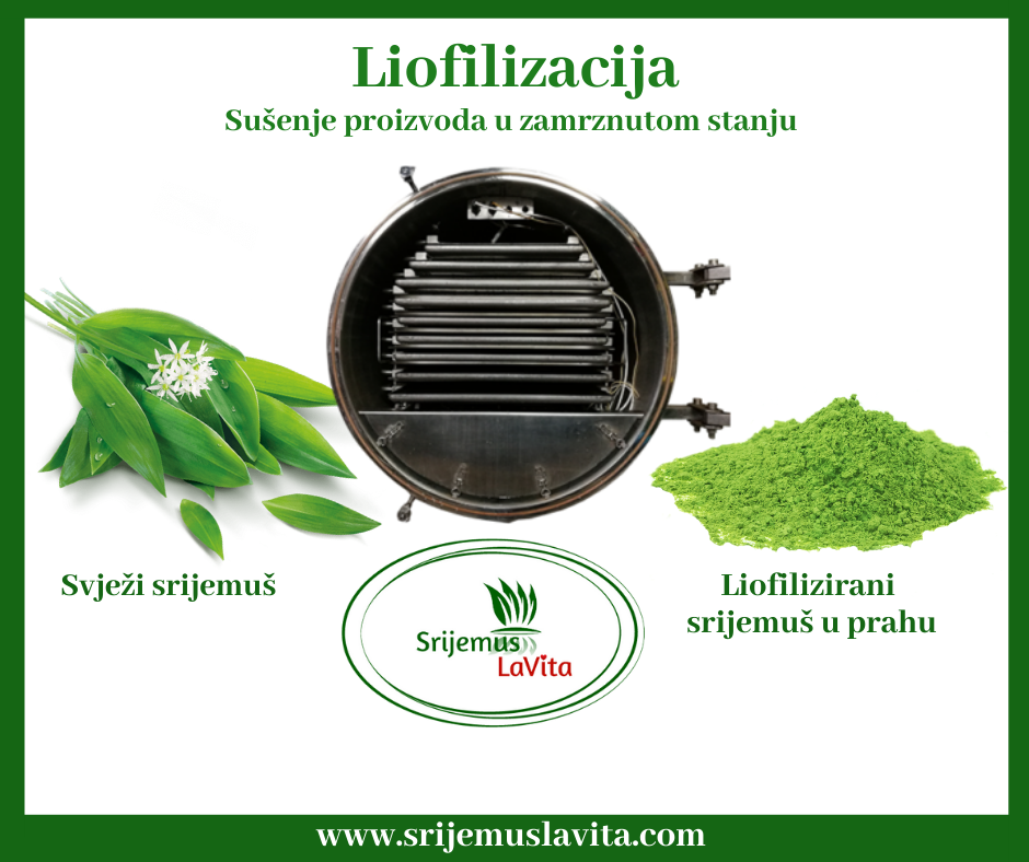 liofilizacija Liofilizacija, najsavršeniji način sušenja biljaka - Srijemuš la vita - Vaš  izvor čiste krvi